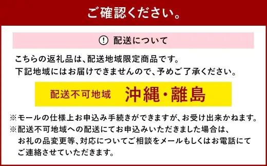 【 奈義町現代美術館オリジナル 】 Yuichi Hirako トート NagiMOCA natural トートバッグ トートバック バッグ バック カバン 鞄 小物入れ 収納 ミュージアムグッズ コ