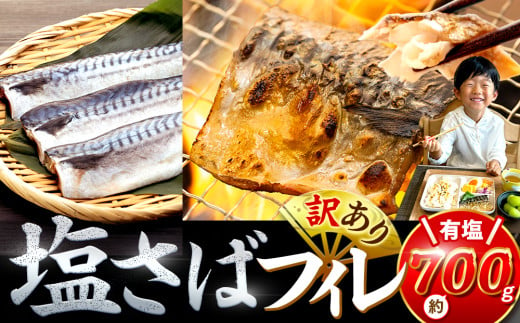 訳あり 塩サバ 約700g 冷凍 鯖 塩 さば 魚 さかな 海鮮 海産物 おかず ご飯 おすすめ 人気 愛知県 南知多町 【配送不可地域：離島】