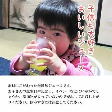 【南信州あじさい農園】林檎果汁(無添加りんごジュース) 6本入り【1586937】