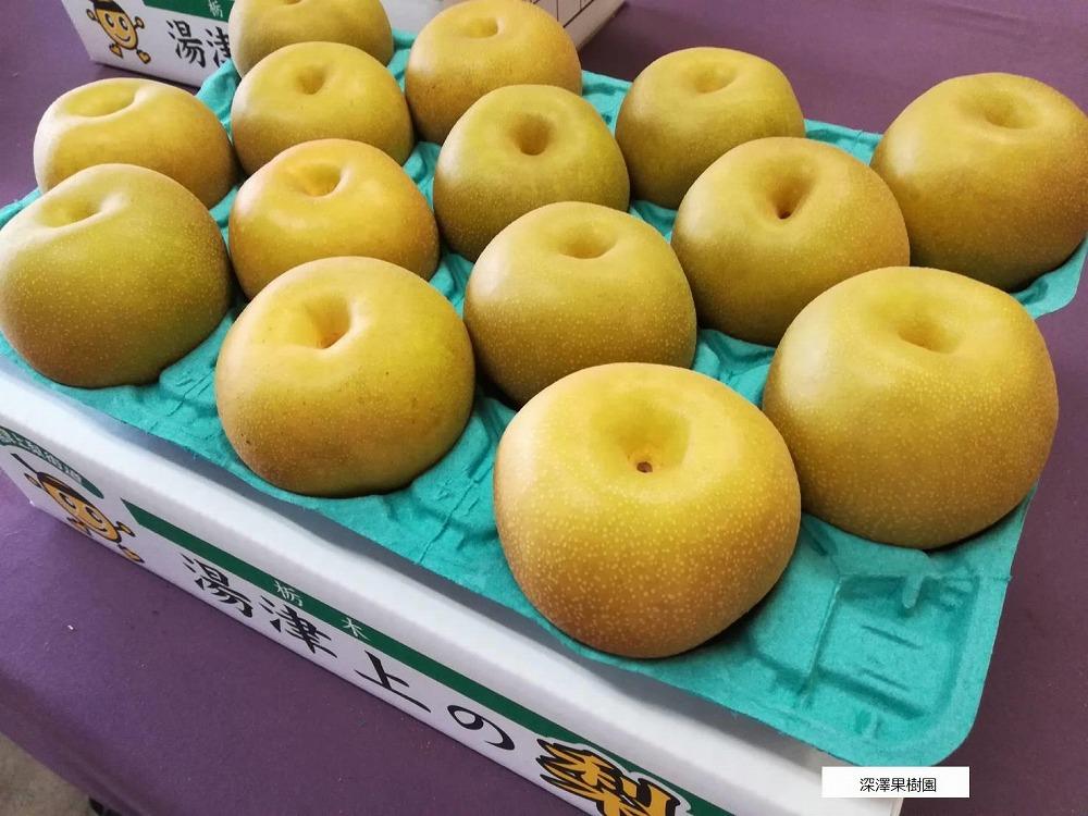 深澤果樹園さんの梨ギフト［豊水］2.5kg≪8月中旬～10月頃発送≫