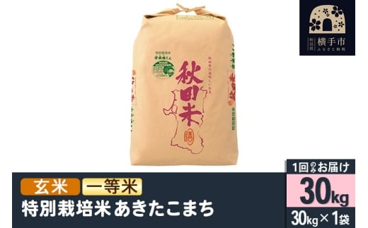 【玄米】令和7年産 特別栽培米あきたこまち（一等米） 30kg [秋田県産 あきたこまち 玄米 特別栽培米 30キロ 令和7年産 秋田こまち 一等米]