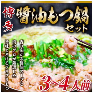 博多もつ鍋 3～4人前 醤油味 a9434 もつ鍋