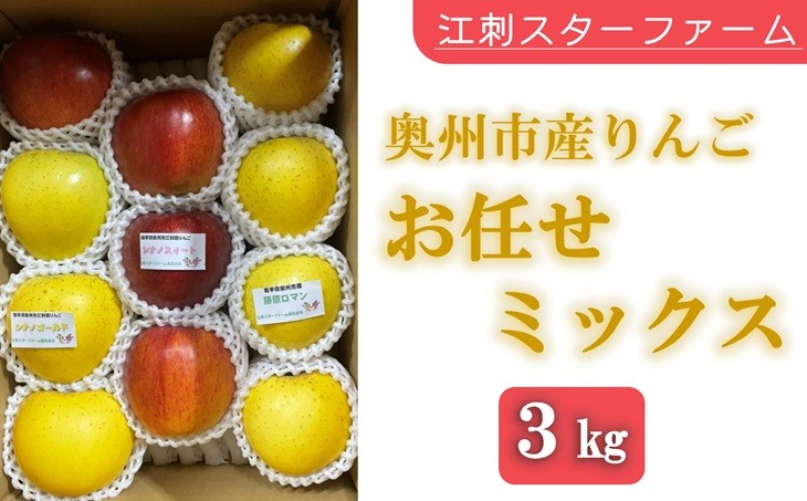 
                  りんご スターファーム こだわり栽培 お任せミックス 約3kg(8~12玉) 厳選品 産地直送 冷蔵 林檎 フルーツ 果物 期間限定 岩手県奥州市産 [AY010]
                