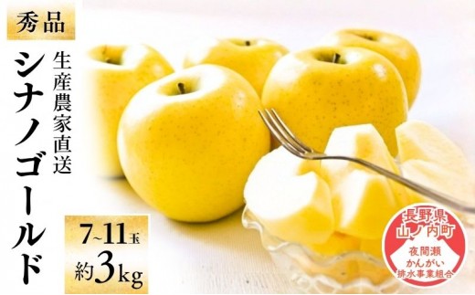 
            シナノゴールド 秀品 約3kg 7～11玉 りんご 果物 信州 長野
          