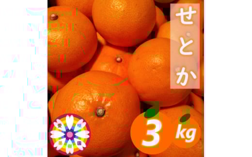 愛咲果樹園「せとか」約3kg＜D71-23＞【1598823】