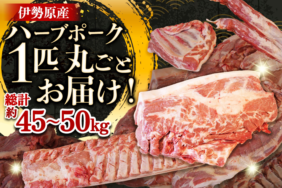 [限定] ハーブで育った絶品ポーク 1匹分 まるごとお届け！｜神奈川県 ギフト 贈りもの プレゼント 人気 お土産 正月 肉の日 おかず 豚肉 [0729]