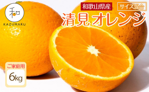 
            家庭用 森本農園の手選別 清見オレンジ 6kg 和歌山県産 サイズ混合 ［北海道・沖縄・離島配送不可］［RN38］［2026年2月上旬から5月中旬頃順次発送予定］
          