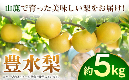 【先行予約】豊水梨　約5kg 梨 ナシ フルーツ 果物 【日本フルーツ株式会社】 [ZFJ013]
