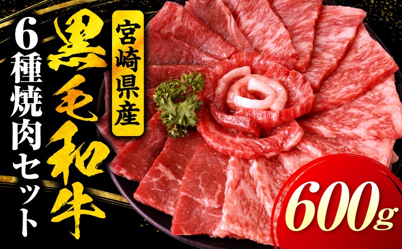 宮崎県産黒毛和牛(経産)6種焼肉セット 600g 黒毛和牛 牛肉 肉 サーロイン リブロース 肩ロース ウデ バラ モモ 焼肉 バーベキュー BBQ 濃厚 プレゼント 贈答 贈り物 ギフト_kn085-007-02