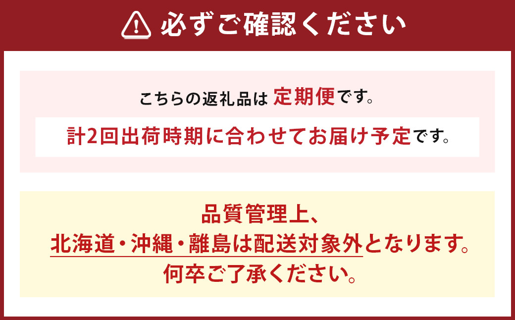 【年2回定期便】 数量限定 旬のフルーツ 定期便 【 シャインマスカット ・ あまおう 】 合計約2.48kg 福岡県産 果物 