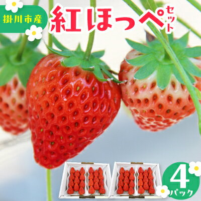 【ふるさと納税】【先行予約2027年発送】紅ほっぺセット(4パック約1040g)甘さと酸味がほどよく爽やかないちご【配送不可地域：離島・北海道・沖縄県・四国・九州】【1676900】