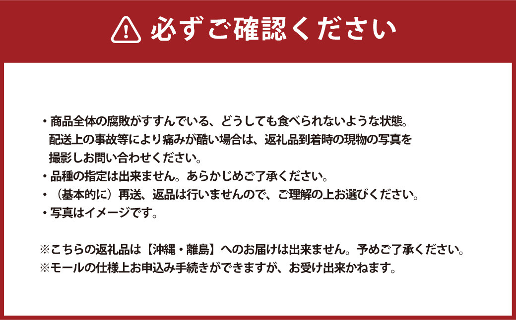 岡山白桃 晩生 ロイヤル 3玉  計800g
