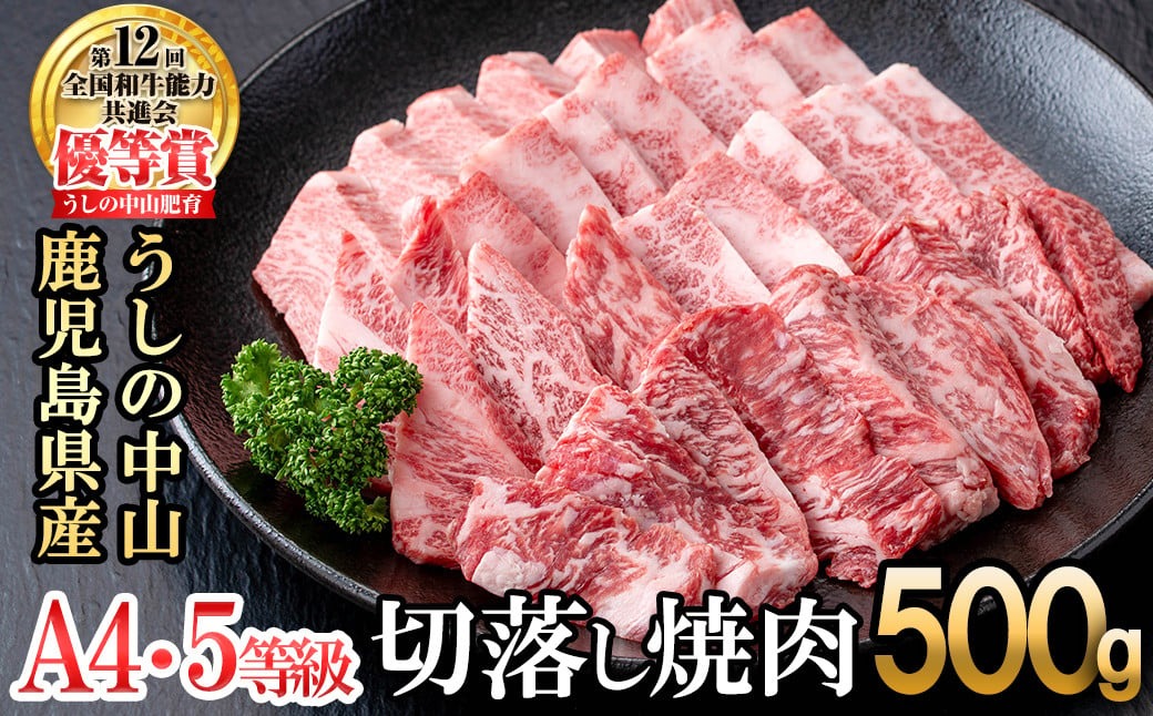 ＜A4・A5等級＞鹿児島県産黒毛和牛 うしの中山 切り落とし焼肉用 500g 黒毛和牛 和牛 肉 牛肉 国産 九州産 鹿児島県産 焼肉 日本一 a9-044