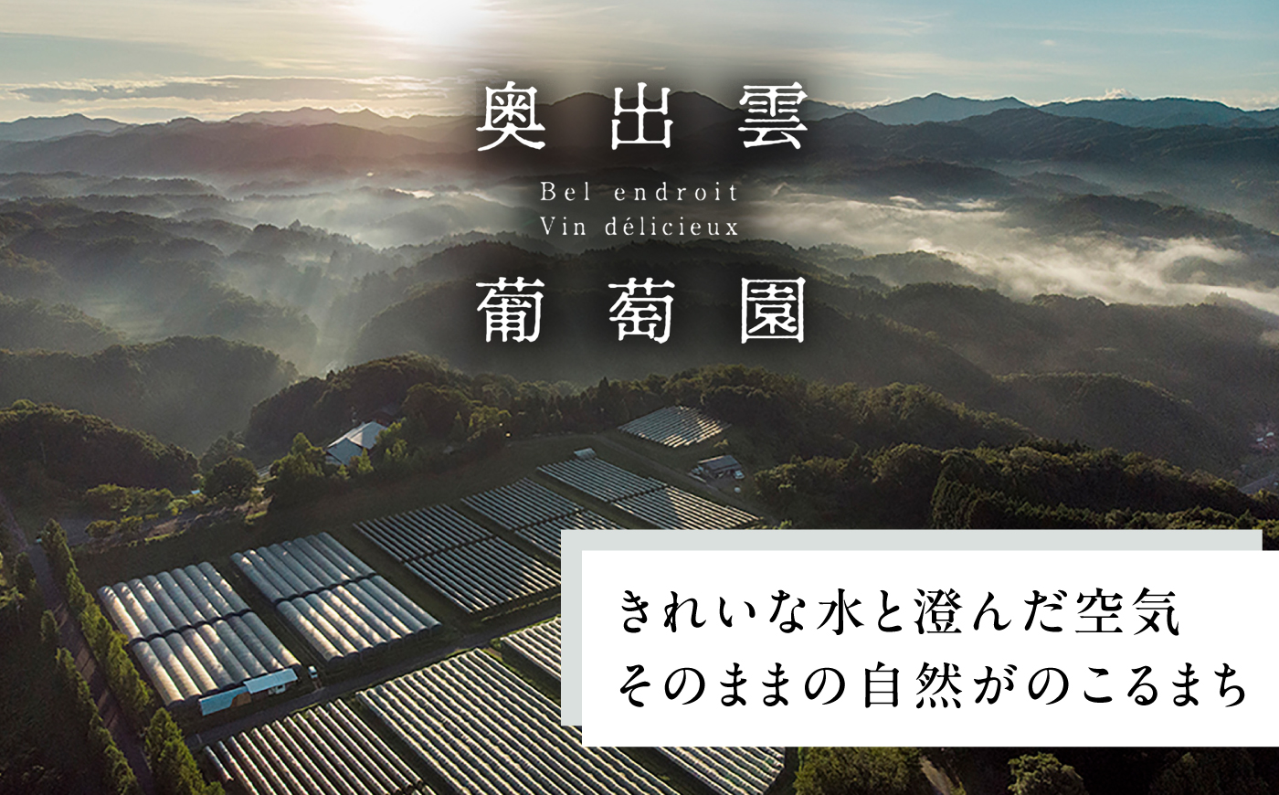 メルロ 2本 750ml×2 赤ワイン 国産 島根県雲南市/有限会社奥出雲葡萄園 [AICS101]