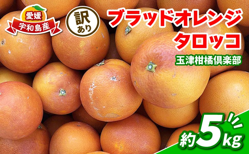
                  【順次発送中】 訳あり ブラッドオレンジ タロッコ 約5kg 玉津柑橘倶楽部 サイズ 不揃い オレンジ 果実 果物 くだもの フルーツ 柑橘 愛媛蜜柑 愛媛みかん mikan 訳アリ わけあり 訳あり品 産地直送 数量限定 国産 愛媛 宇和島 B010-072047
                