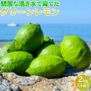 【ふるさと納税】綺麗な湧き水で育てたグリーンレモン 2kg (大小混合)