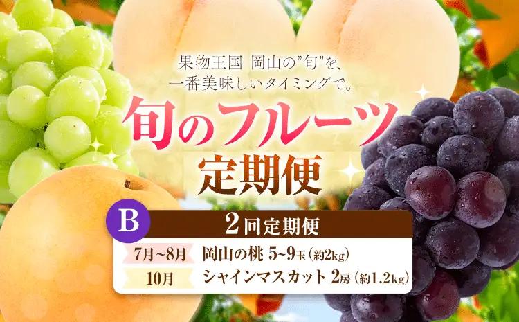 【定期便】旬のフルーツ定期便 岡山のﾌﾙｰﾂ 定期便 Bコース 2回定期便 岡山県産 桃 シャインマスカット ニューピオーネ 梨 《7月上旬-10月末頃出荷》岡山県 笠岡市 フルーツ 旬 果物 ぶどう 梨 マスカット お取り寄せ