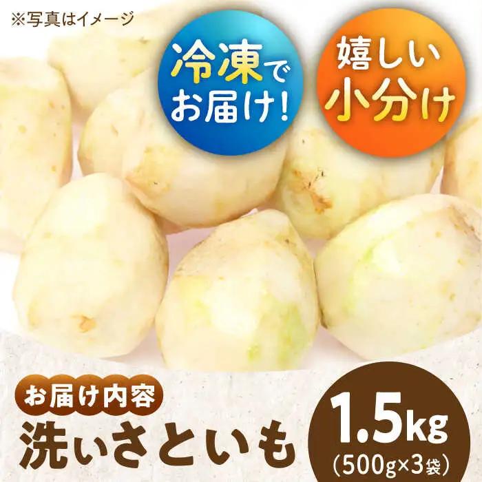 【冷凍】洗い 里芋 500g×3袋 里芋【10月上旬から順次発送】 [AGBN039]