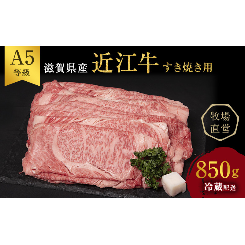 【最短1週間発送】 A5ランク 近江牛 すき焼き肉 すき焼き 肉 牛肉 雌牛 すき焼用 約850g（モモ・カタ・ウデ・バラ系等） 黒毛和牛 滋賀県 豊郷町
