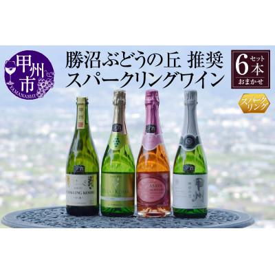 ふるさと納税 甲州市 勝沼ぶどうの丘推奨スパークリングワイン6本セット(KBO)F-603