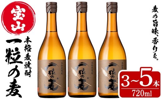 
                  No.912/No.913 ＜本数選べる＞一粒の麦(720ml×3～5本) 焼酎 麦焼酎 酒 アルコール 麦 家飲み 宅飲み 大麦 大麦麹 セット 常温 常温保存【西酒造】
                