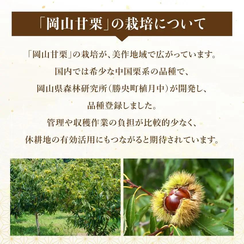 岡山甘栗・ギフト2パック詰合せセット【010-a013】