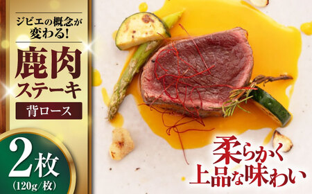 鹿肉 背ロース 2枚  ジビエ 赤身 冷凍配送 [AJAO066]