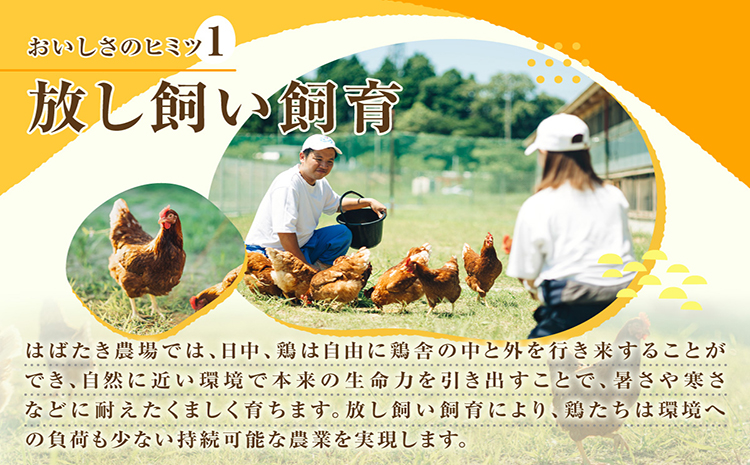 【6か月定期便】放し飼い米たまご55個+5個保証（計60個）