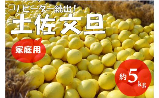 
                  【先行予約 2027年2月～発送】土佐文旦 5kg 家庭用 フルーツ 果物 柑橘 ぶんたん 産地直送 高知県
                