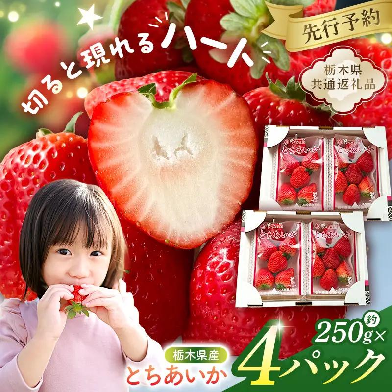 【先行受付】栃木県産　とちあいか約250ｇ×4パック【栃木県共通返礼品】【2027年1月下旬～発送予定】　ns120-001 いちご とちあいか 