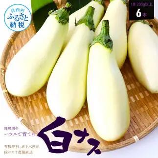 先行予約 白ナス6本 