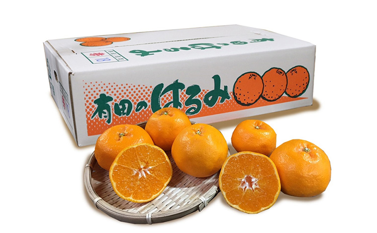 【まごころ手選別】和歌山産有田のはるみ　約6kg(家庭用) ※2026年1月下旬～2月下旬頃より順次発送予定