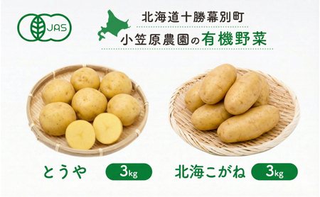 小笠原農園の有機じゃがいも 2種詰合せ（とうや3kg・北海こがね3kg）北海道 十勝 幕別《2026年秋出荷先行予約》【 野菜 芋 じゃがいも とうや 北海こがね セット 】