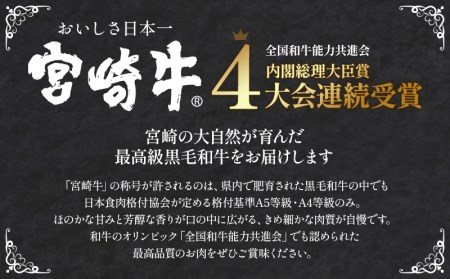 定期便3ヶ月お楽しみ宮崎牛赤身肉セット(計2.4kg)