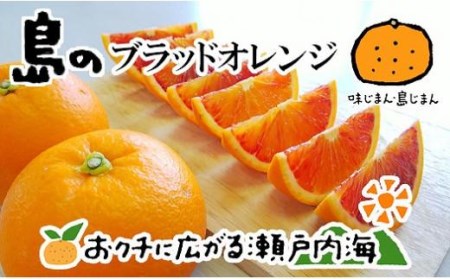 希望の島 ブラッドオレンジ (タロッコ) 3kg  ブラッドオレンジ 【FT018_x】