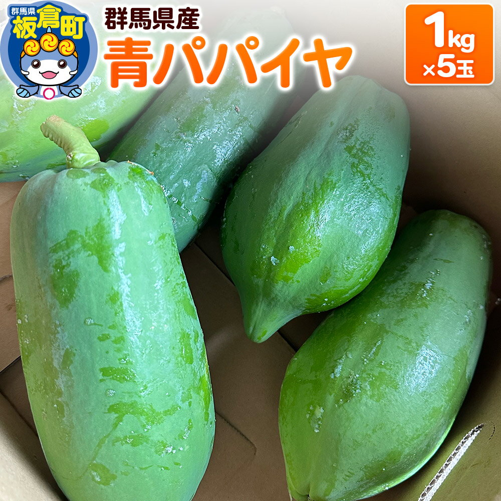 【ふるさと納税】【発送期間限定】青パパイヤ 5kgセット（1kg×5玉）群馬県産 国産 フルーツ 果物 南国 トロピカル