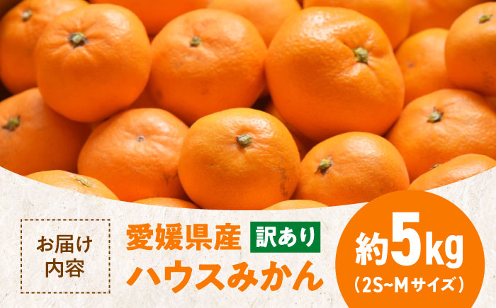 【先行予約】【夏限定】【ご家庭用】愛媛県産 峯田農園のあま〜い「ハウスみかん」5kg　小玉（2S,S,Mサイズ混合）愛媛県大洲市/峯田農園　 [AGBT021]