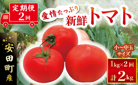 トマト【定期便】新鮮トマト 計2kg