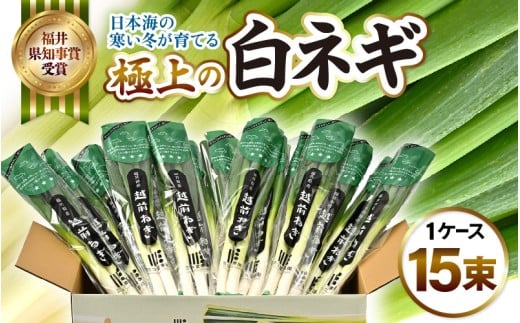 【先行予約】 日本海の寒い冬が育てる、極上の白ネギ 1ケース (15束) 【2026年9月下旬以降順次発送予定】【長ねぎ 白ねぎ ネギ ねぎ 葱 白葱 野菜 鍋 焼き 冬野菜 箱売り 厳選 国産 冬季限定】 [A-2605]