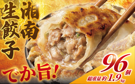 生餃子 ブランド豚 湘南 96個【 餃子 ぎょうざ】