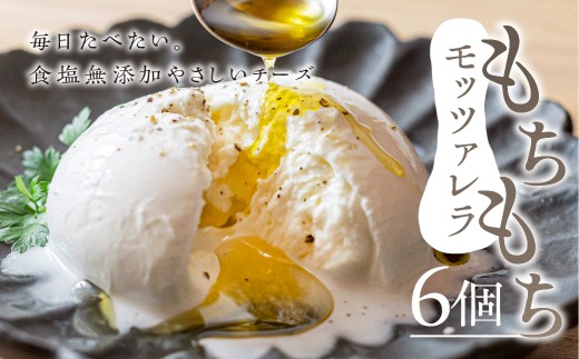 食塩無添加やさしいチーズ　もちもちモッツアレラ　6個セット