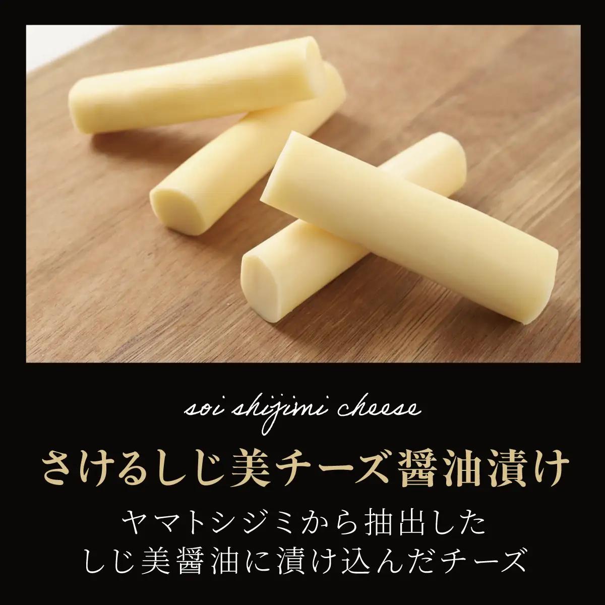 ひがしもこと乳酪館 さけるしじ美チーズ醤油漬け（60g×5） OSA078