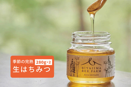 BIYAJIMA BEE FARM『季節の完熟生はちみつ 一瓶290g×2個』北信濃の大自然がぎゅっとつまった、完全非加熱・無農薬・除草剤、防腐剤不使用の国産天然蜂蜜【長野県信濃町ふるさと納税】