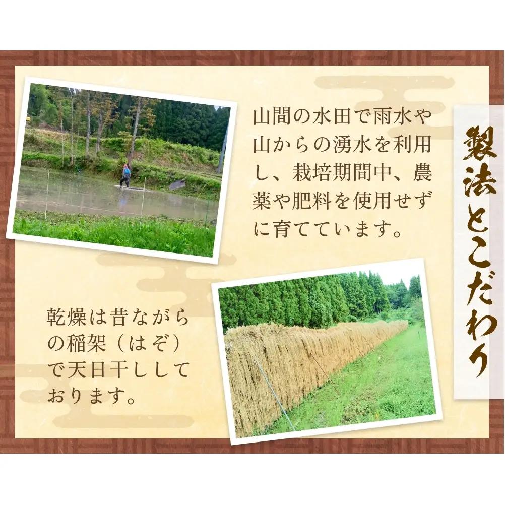 令和7年産 富山県産 ミルキークイーン はさがけ米 無洗米 5kg 富山県 氷見市 米 ブランド米