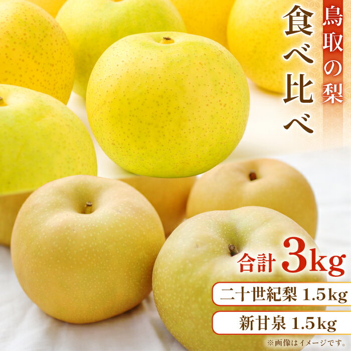 【ふるさと納税】鳥取の梨 食べ比べセット　3kg　OK22