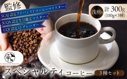 スペシャルティコーヒー豆 3種セット 計300g ≪ 浅～中浅煎り / 中挽き ≫ コーヒー豆 コーヒー 豆 焙煎 自家焙煎 スペシャリティ スペシャリティコーヒー おいしい おススメ ブレンド シングル 珈琲 珈琲豆 浅煎り 深煎り 送料無料 愛知県 豊橋市