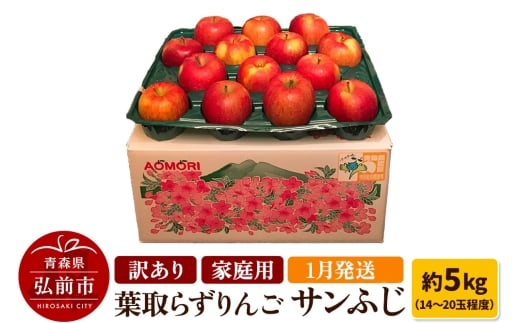 【26年1月発送】りんご 訳あり家庭用【年明け発送】葉取らず サンふじ 約5kg（14～20玉程度）青森県特別栽培農産物認証農園【レビューキャンペーン】