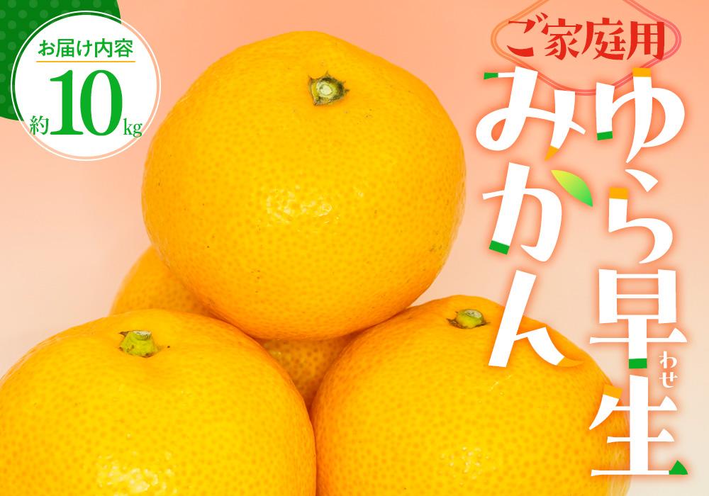 ご家庭用 ゆら早生 みかん 約10kg【2026-9月下旬～2026-11月上旬配送】 372013_T006-218J