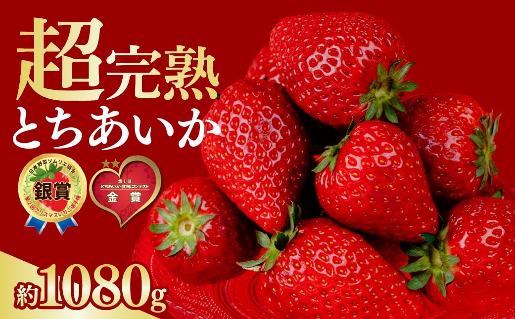 
            【選べる発送月】いちご 選手権金賞農園の 厳選&完熟&朝摘み とちあいか レギュラーサイズ 約270g × 4パック 合計1080g | いちご イチゴ 苺 とちあいか とちおとめ 第2回いちご選手権金賞 ブランドいちご ストロベリー 完熟 甘い あまい 果物 フルーツ くだもの 旬 産地直送 栃木県産 鈴木ファーム 栃木県 茂木町
          