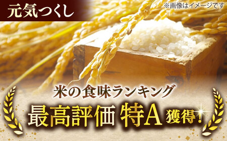 【令和6年産】元気つくし 15kg （5kg×3袋） 米 こめ コメ お米 ご飯 ごはん 精米 白米 新米 ライス 元気つくし 県産米 国産米 ブランド米 福岡 広川町 / JAふくおか八女農産物直売